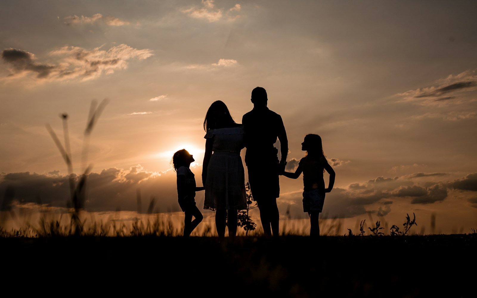 Aile Hukuku